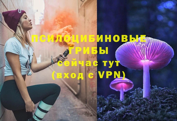 прущая мука Гусь-Хрустальный