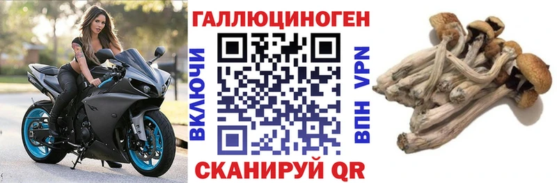 Псилоцибиновые грибы Magic Shrooms  купить наркоту  Альметьевск 