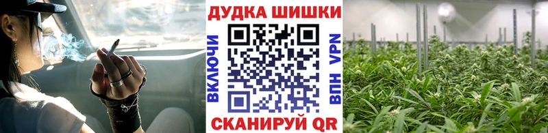 kraken как зайти  Альметьевск  Конопля план 